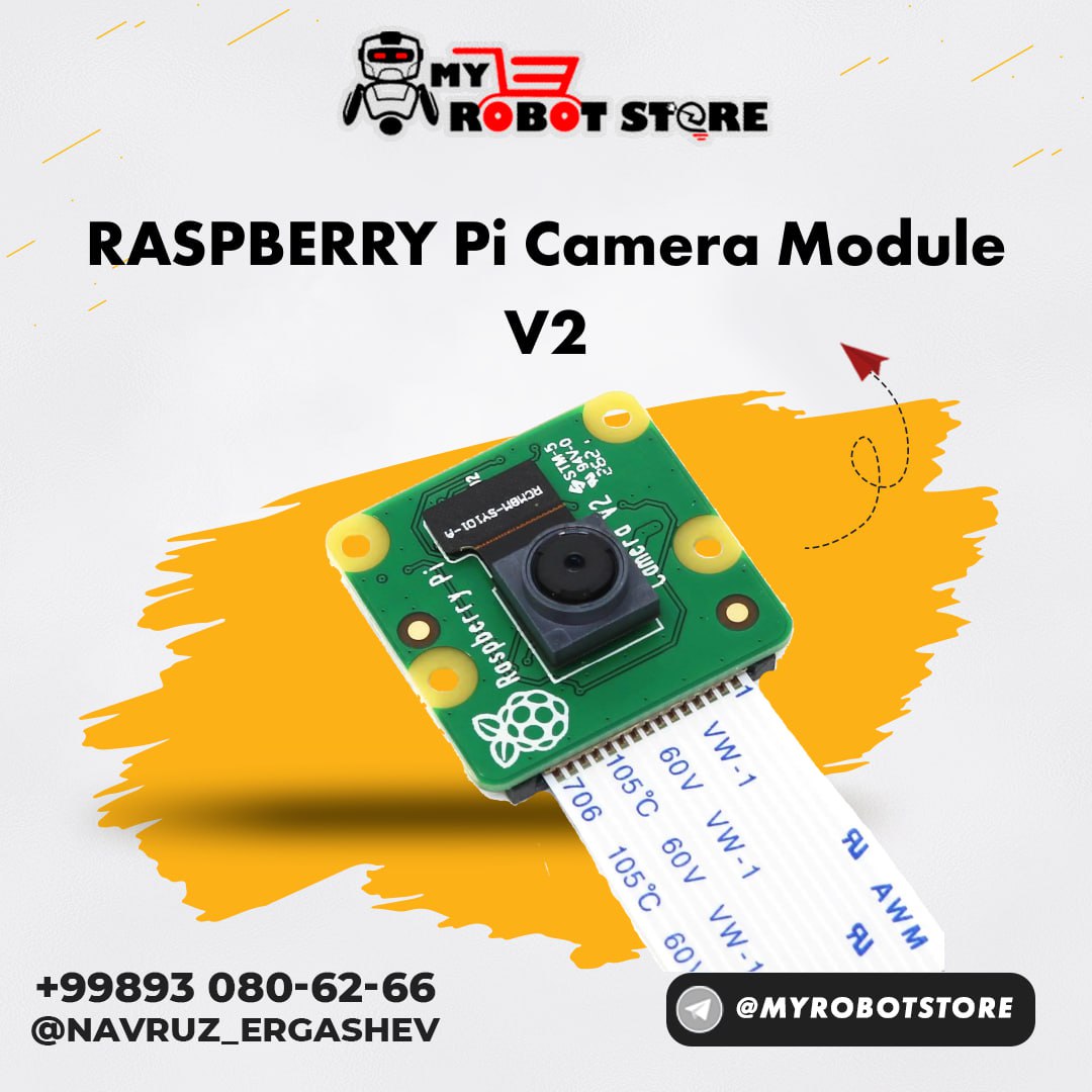 RASPBERRY Pi Camera Module V2