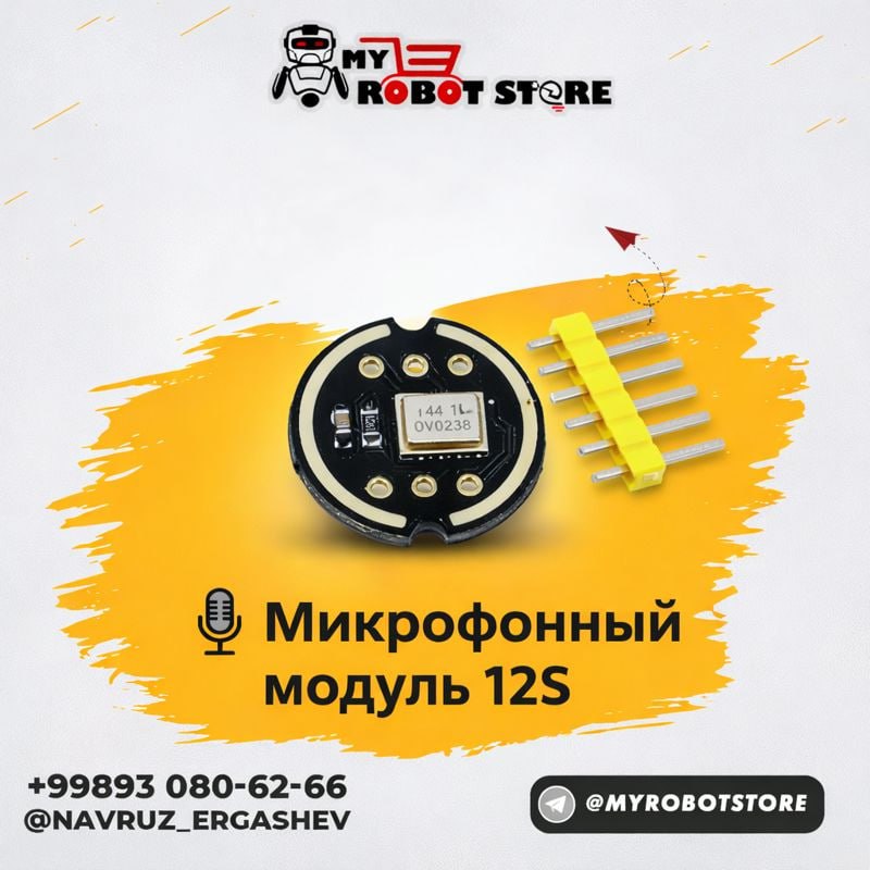 Микрофонный модуль 12S