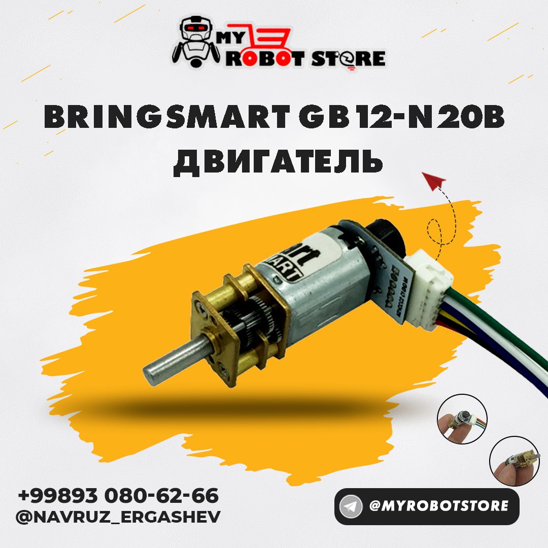 Bringsmart GB12-N20B Micro DC Motor  12V With Encoder Disk 500rpm